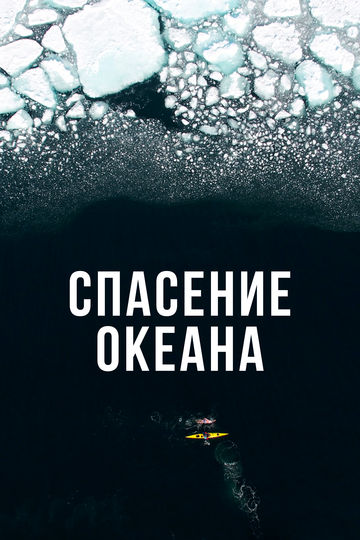 Смотреть Спасение океана (2017) онлайн в Хдрезка качестве 720p