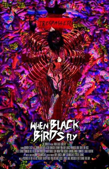 Смотреть Когда прилетают черные птицы (2016) онлайн в HD качестве 720p